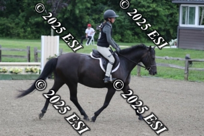 593RC_L4406