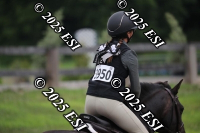 593RC_L4420