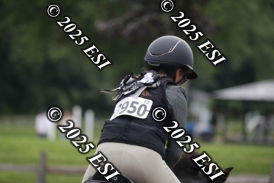593RC_L4424