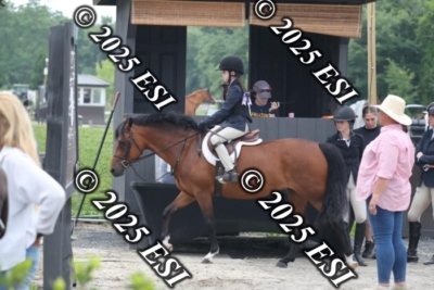 593RC_L4431