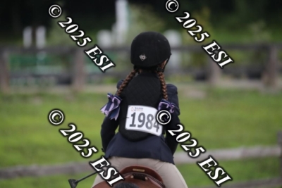 593RC_L4433