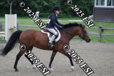 593RC_L4441