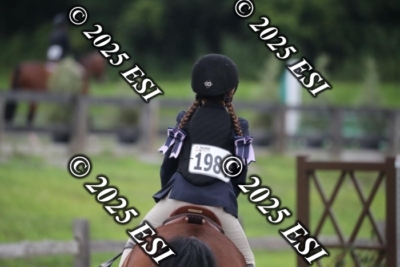 593RC_L4449
