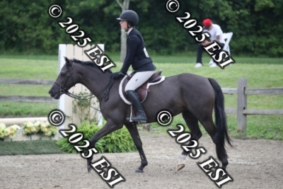593RC_L4461