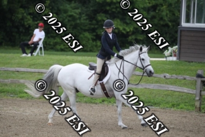 593RC_L4470