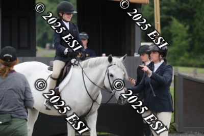 593RC_L4473