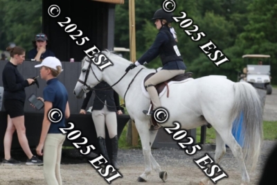 593RC_L4476