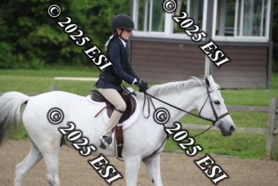 593RC_L4482