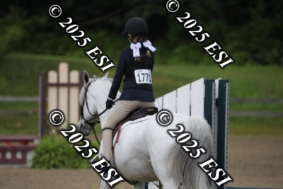 593RC_L4486