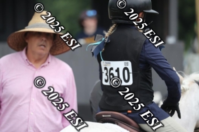 593RC_L4494