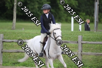 593RC_L4499