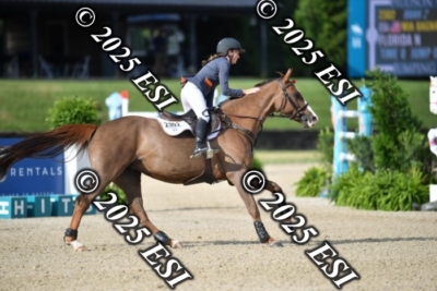 723CAH_2931