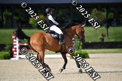 723CAH_2941