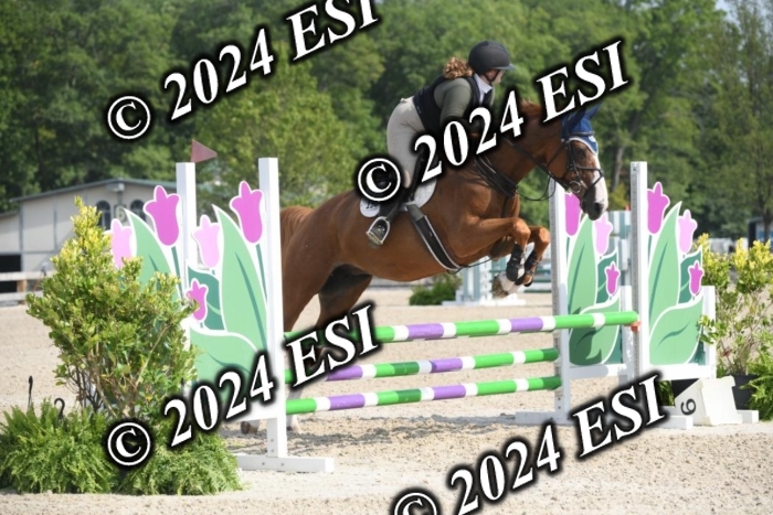 204DK1_0756