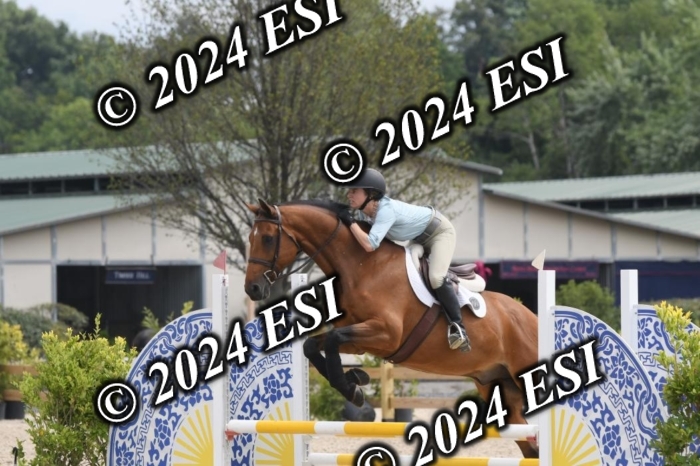 204DK1_0903