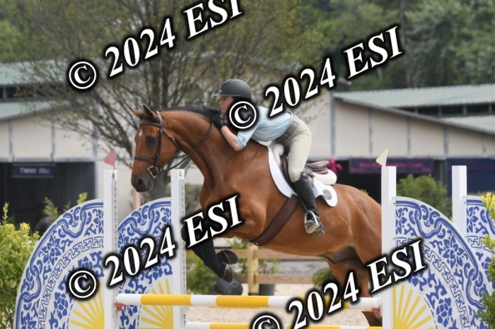 204DK1_0904