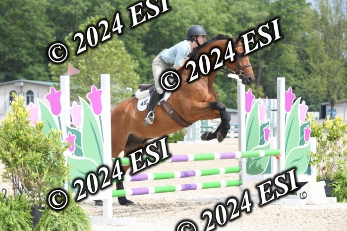 204DK1_0906