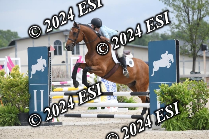 204DK1_0907
