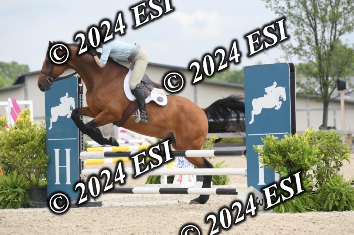 204DK1_0911