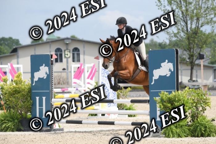 204DK1_0916