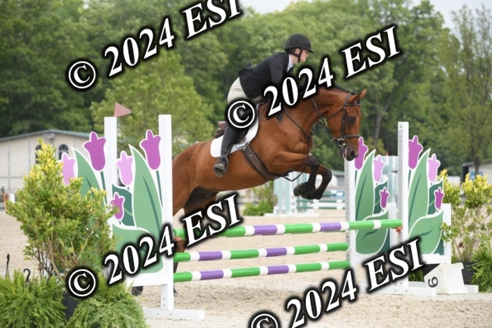 204DK1_0917