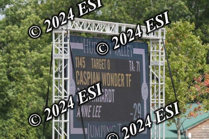 204DK1_0919