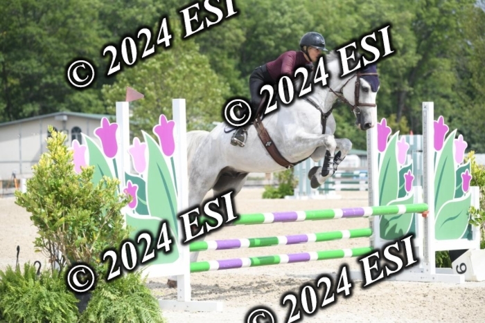204DK1_0927