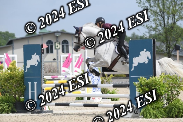 204DK1_0929