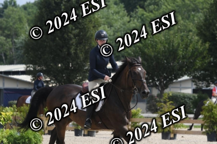 204DK1_0931