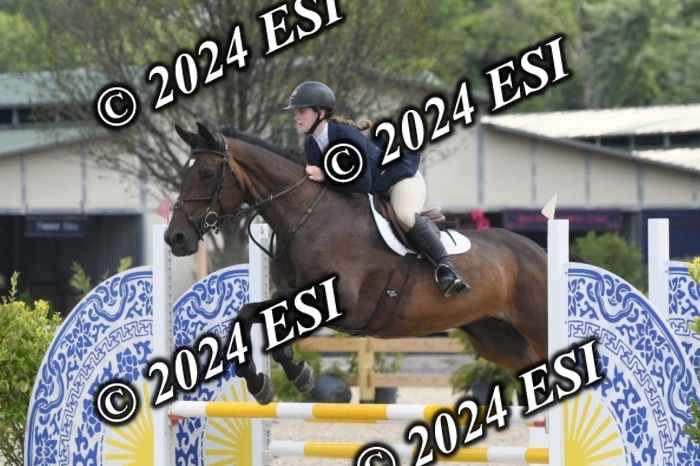 204DK1_0934