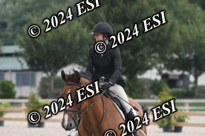204DK1_0943
