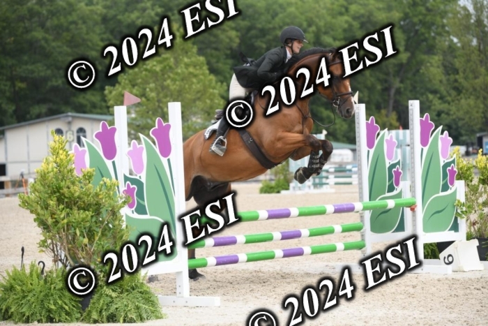 204DK1_0946