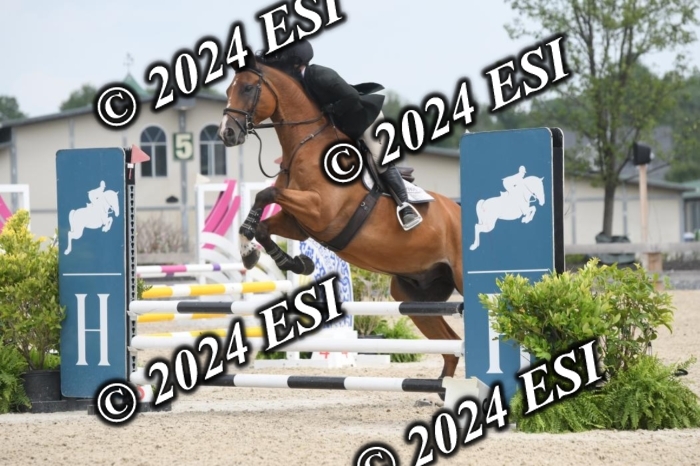 204DK1_0947