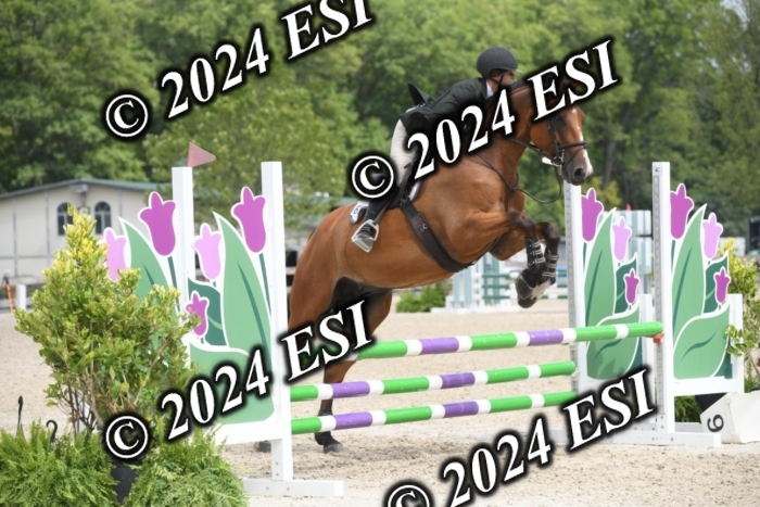 204DK1_0949