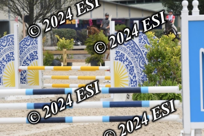 204DK1_0954