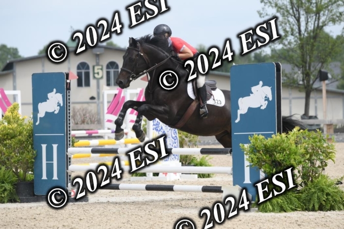 204DK1_0968