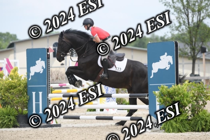 204DK1_0970