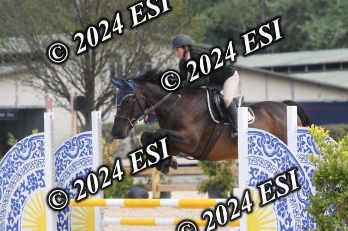 204DK1_0975