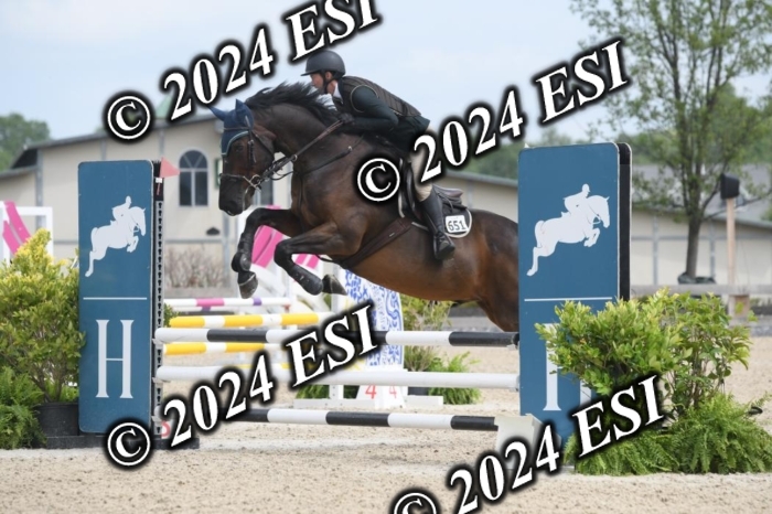 204DK1_0981