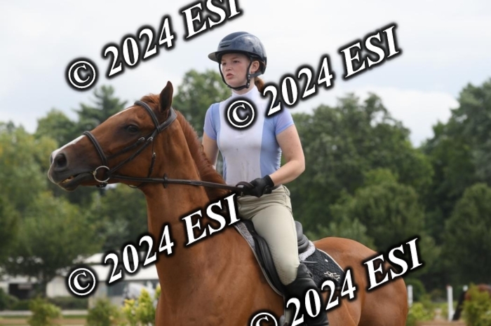 204DK1_0985