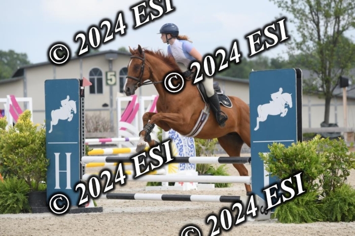 204DK1_0991