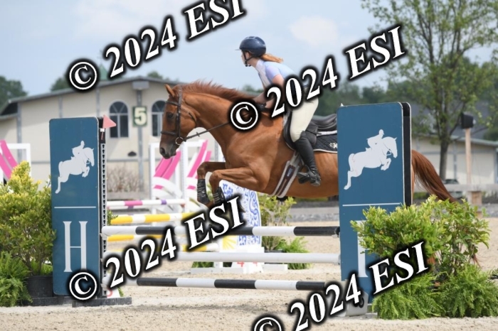 204DK1_0993