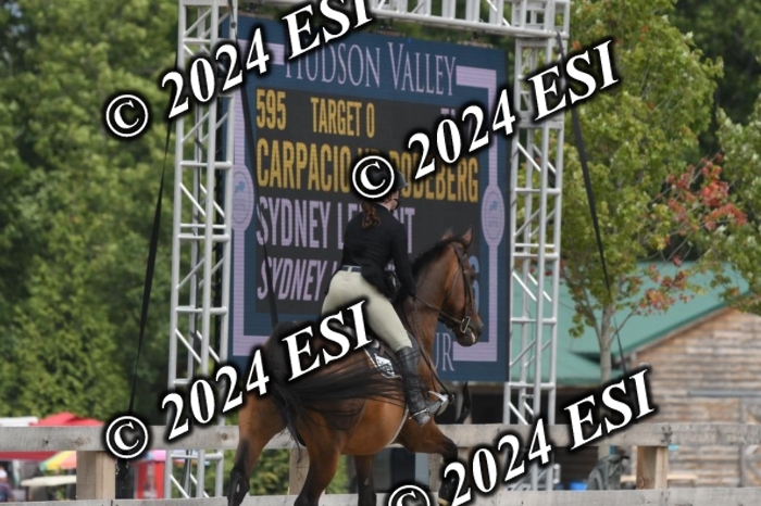 204DK1_0997