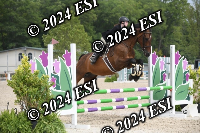 204DK1_0999