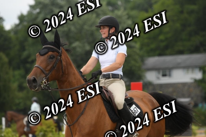 204DK1_1017