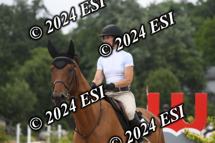 204DK1_1019