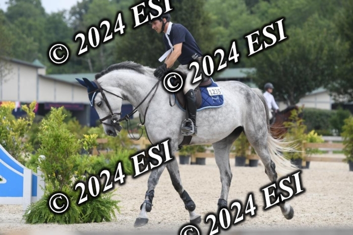 204DK1_1036