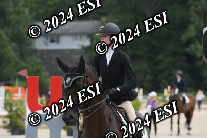 204DK1_1038