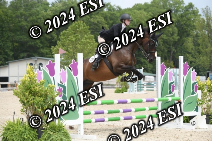 204DK1_1043