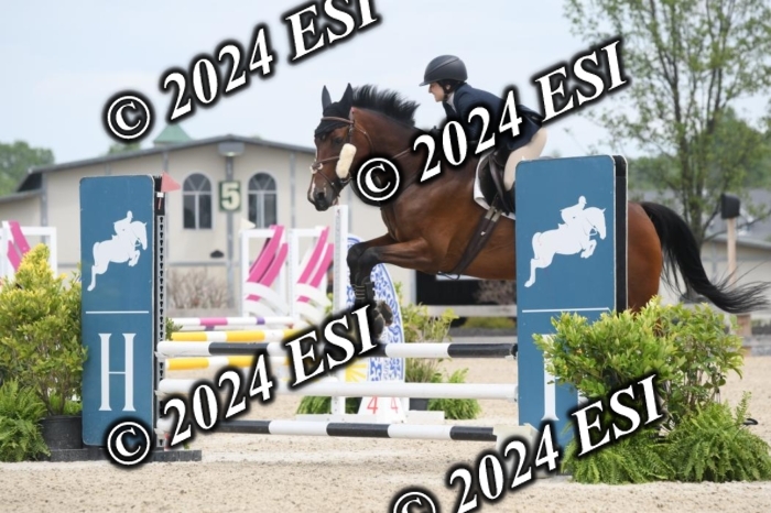 204DK1_1053